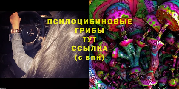 спиды Липки