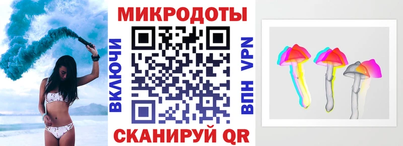 Купить где  Кузнецк  Псилоцибиновые грибы Psilocybe 